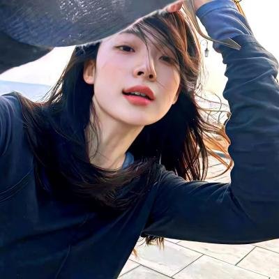 女王鲨封面