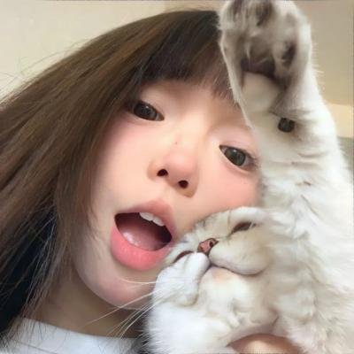 无需敲门封面