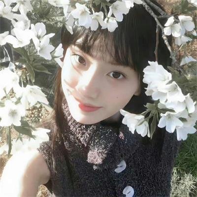双生儿封面