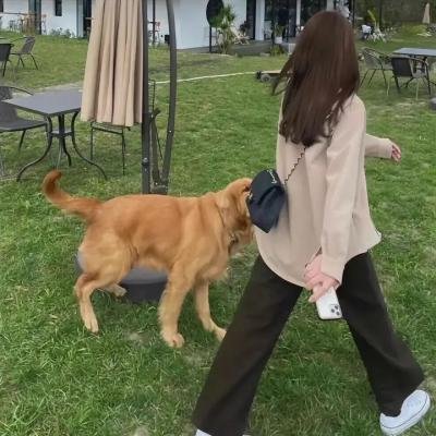 狼狈为奸封面